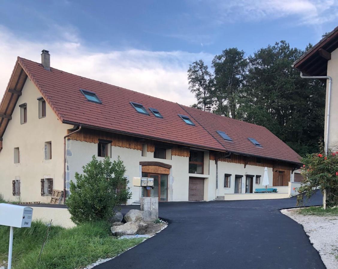 T2 Meuble De 40M2 Axe Annecy/Geneve Apartamento Saint-Martin-Bellevue Exterior foto